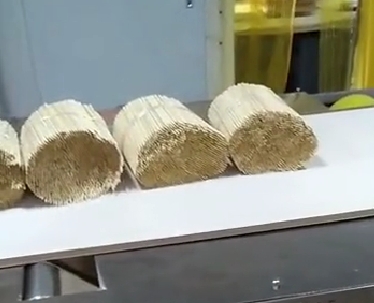 微波竹筷殺蟲(chóng)卵設(shè)備視頻