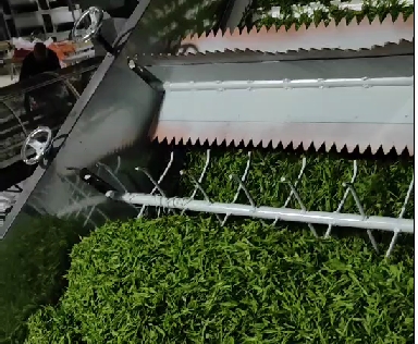 茶葉殺青設(shè)備視頻